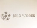 MLS Works Logo ID thumbnail