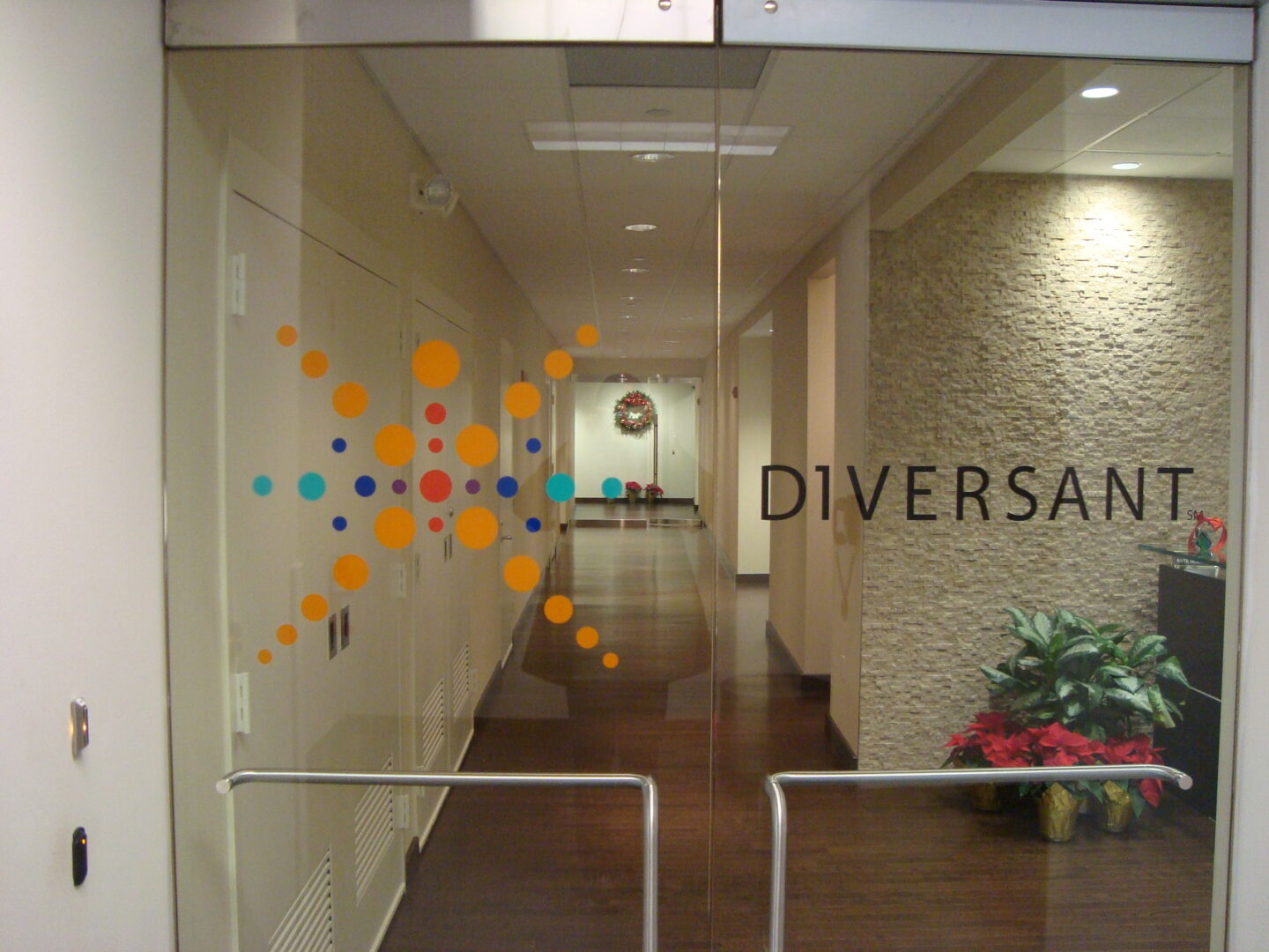 diversant vinyl logo 2